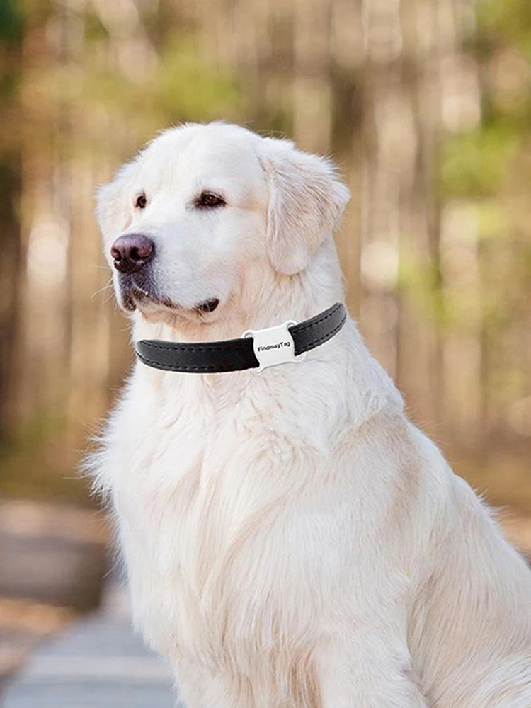 Mini Pet Dog or Cat Waterproof GPS Locator Tracker