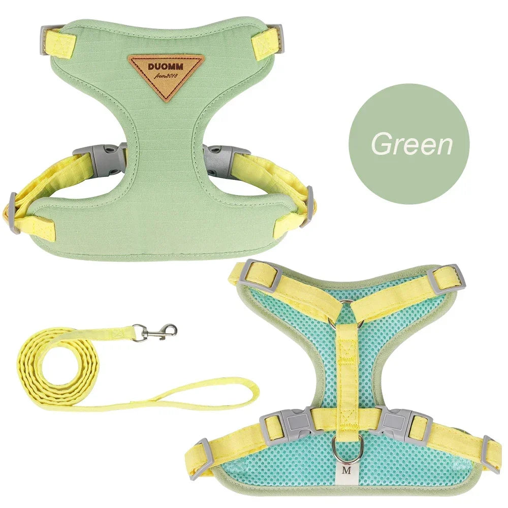 Cat Puppy Outdoor Walking Pet Harness and Leash Set