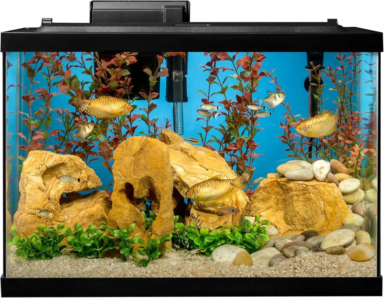 20 Gallon Complete Tropical Fish Tank Kit