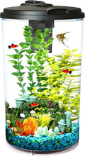6-Gallon 360-Degree Aquarium Kit for Tropical Fish
