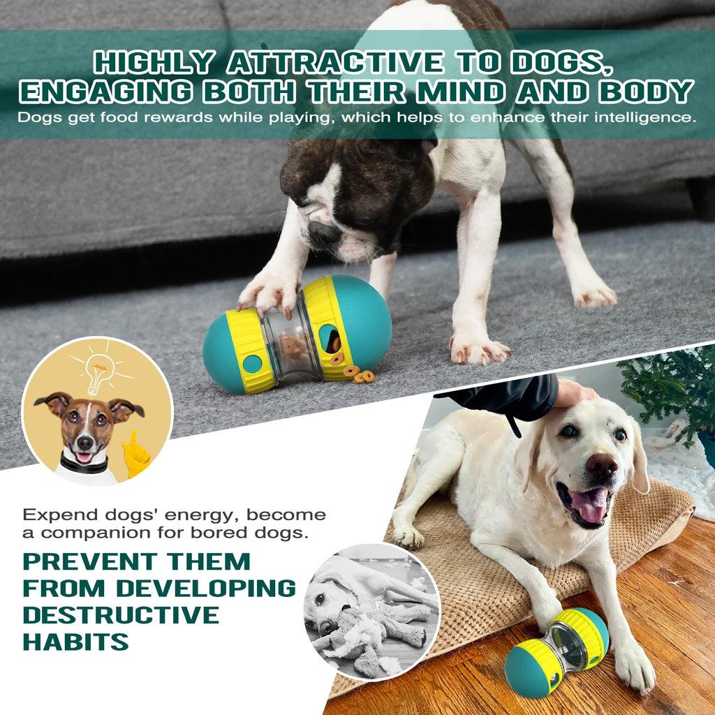 Pet Dog Cat Interactive Slow Feeder Ball