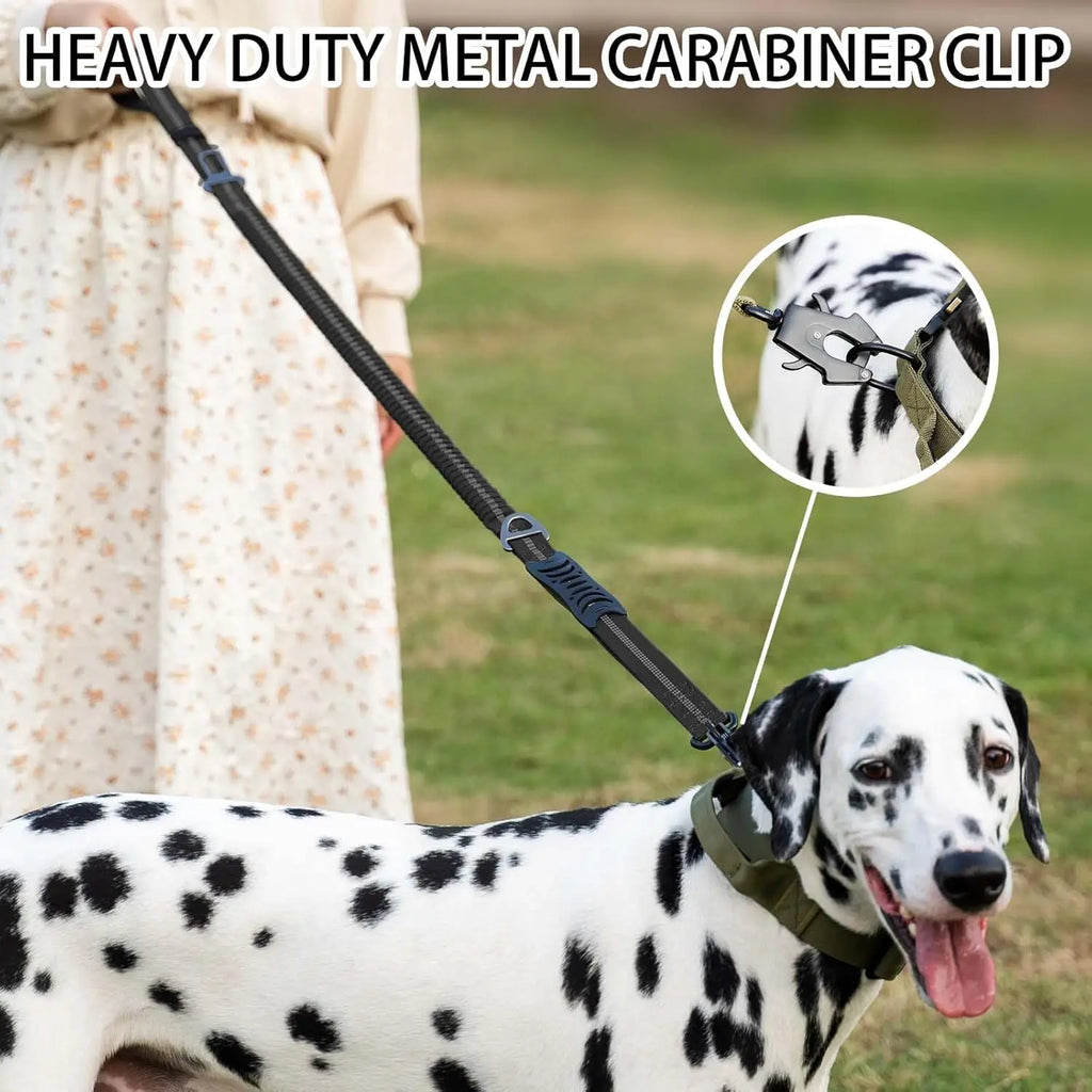 Reflective Shock Absorbing Pet Dog Cat Leash