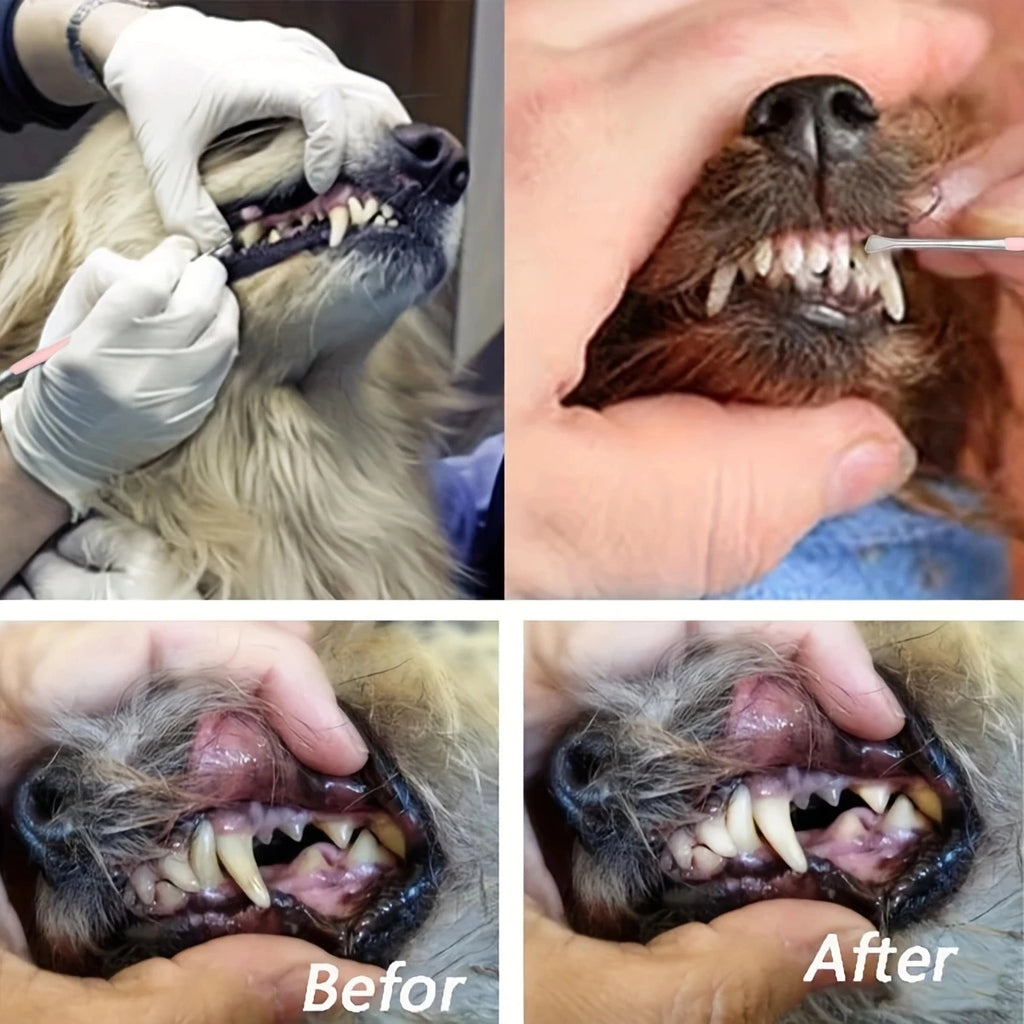 1pc Pet Dog Tooth Cleaner Stainless Steel