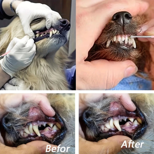 1pc Pet Dog Tooth Cleaner Stainless Steel