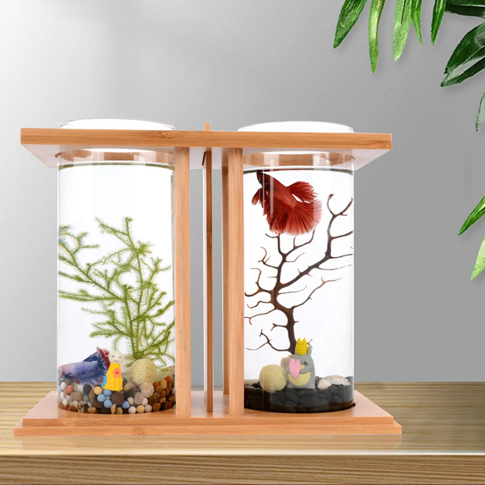 Dual Glass Betta Fish Tank with LED Light Bamboo Base