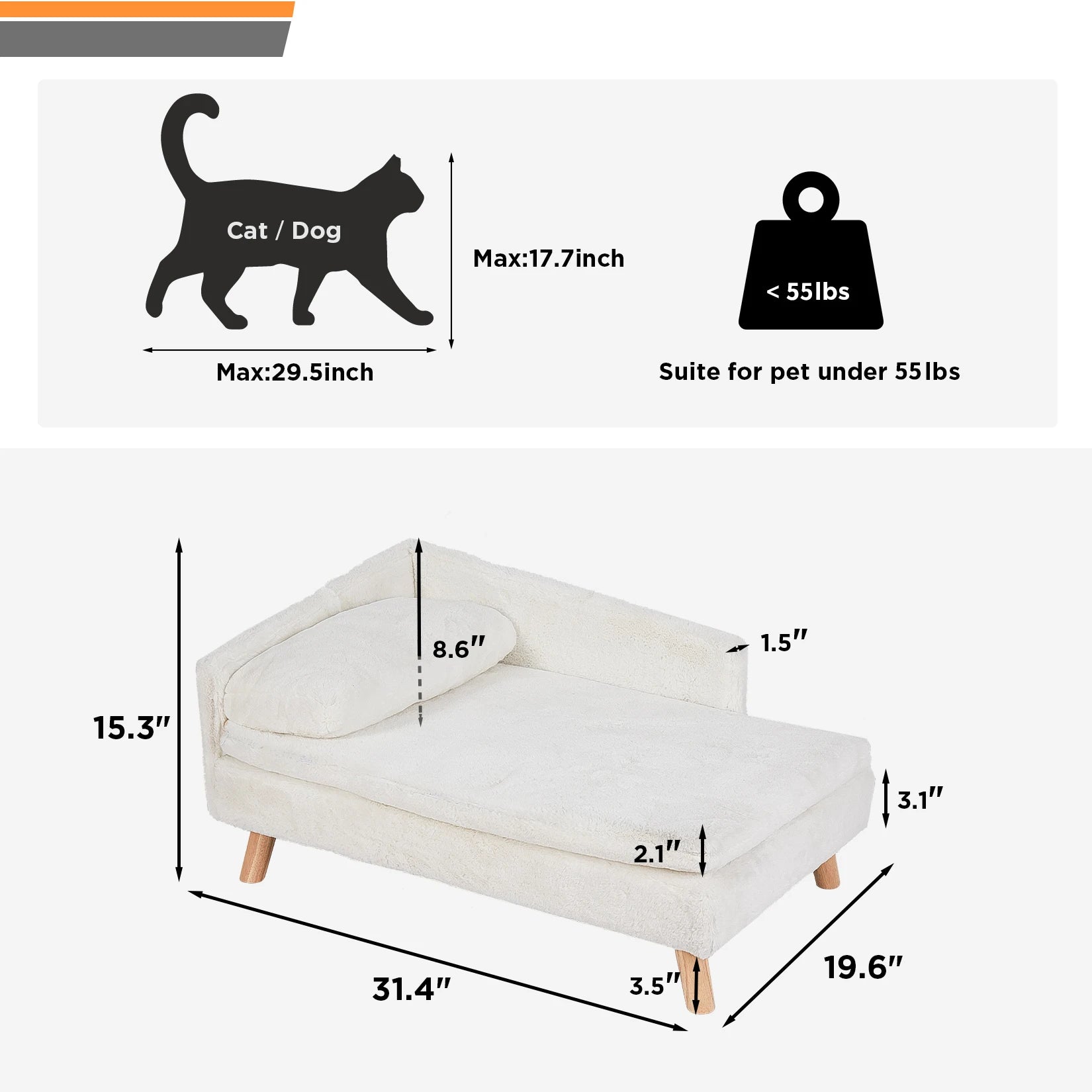 Elevated Pet Bed with Cozy Pad