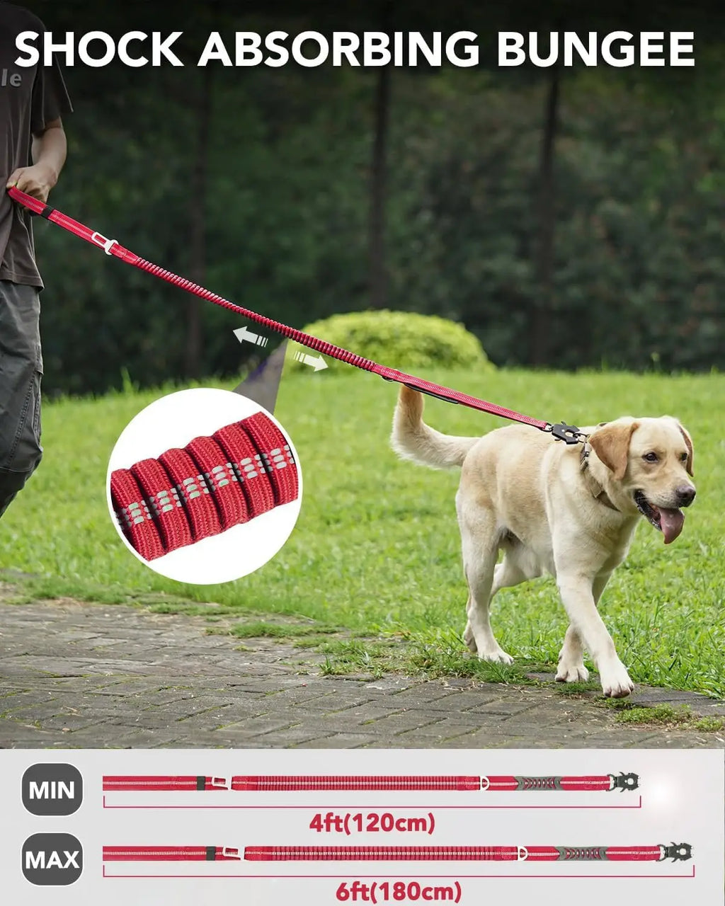 Reflective Shock Absorbing Pet Dog Cat Leash