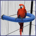 U Shape Parrot Perch Stand Cage Accessory