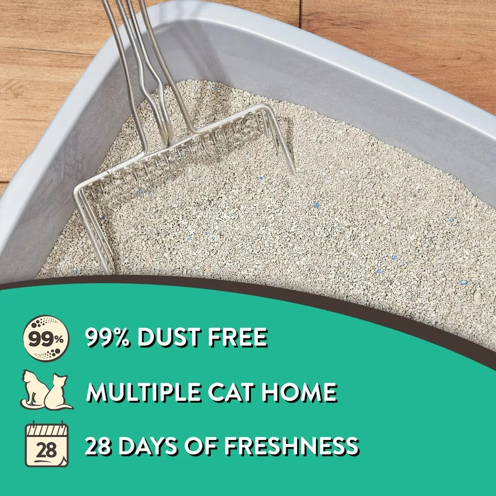 4-Pack Clumping Clay Cat Litter Fresh Scent