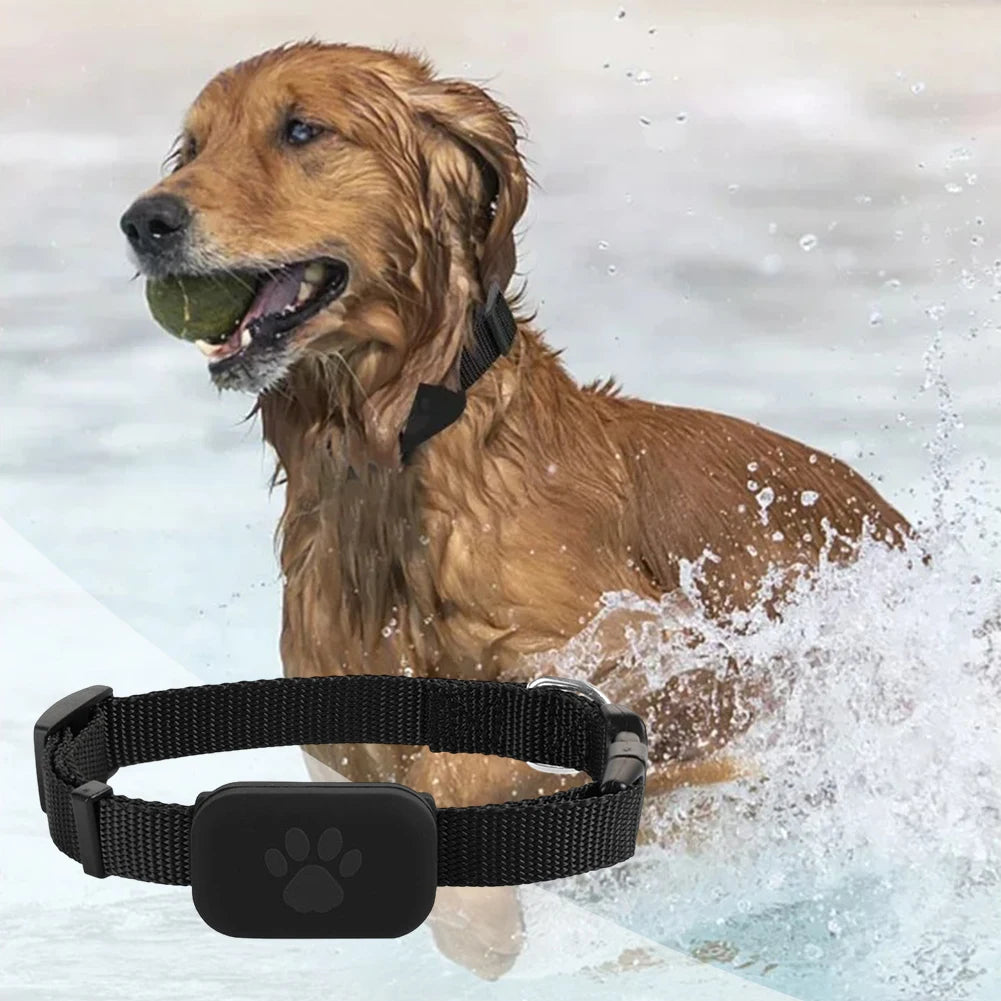 Pet Dog or Cat GPS Tracker with Adjustable Collar