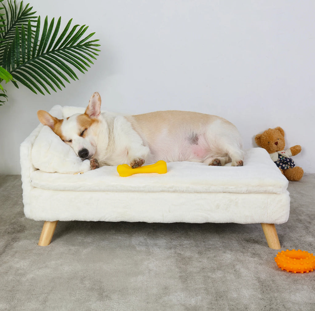 Elevated Pet Bed with Cozy Pad
