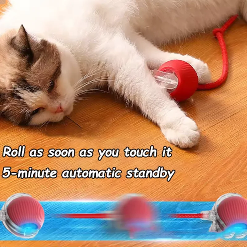 Interactive Cat Toy Automatic Teaser Ball