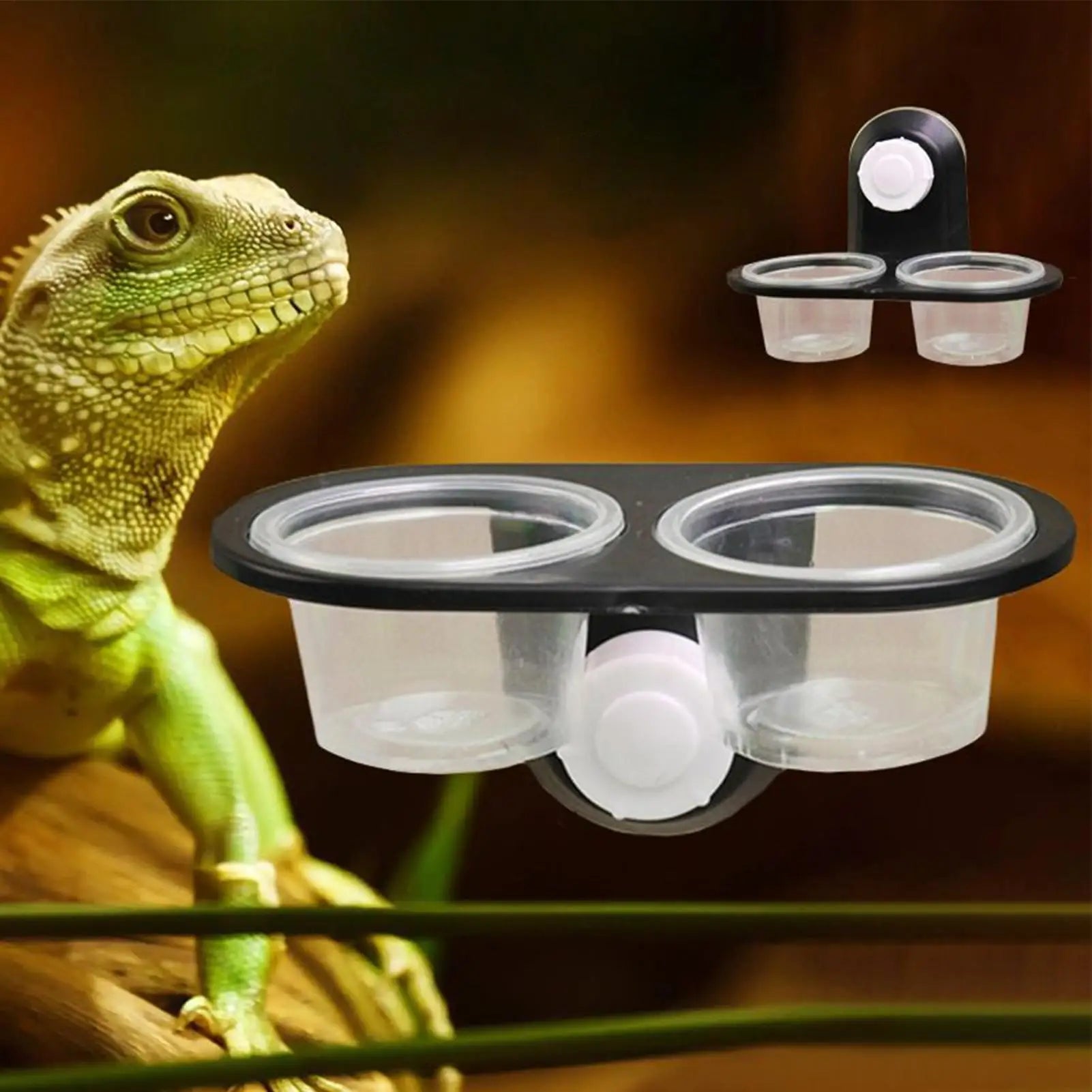 Reptile Food Water Bowl Dish