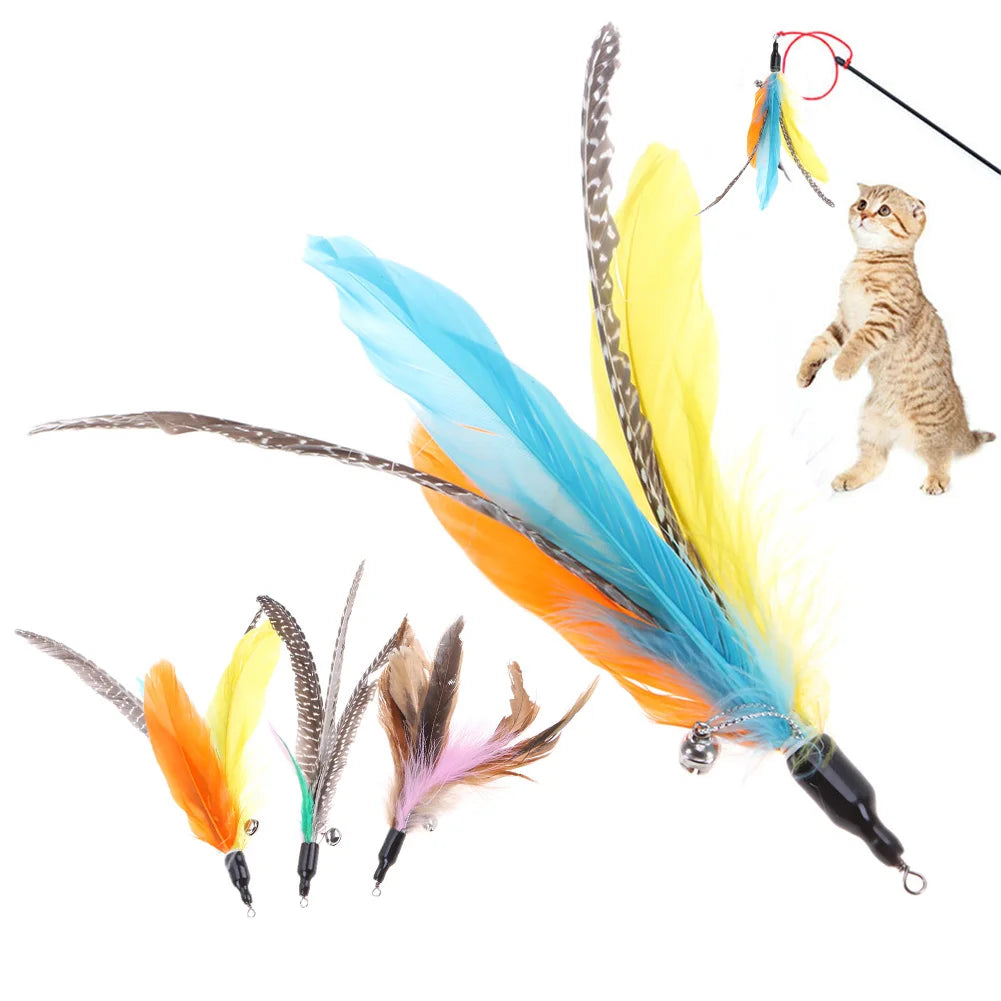 5pcs Interactive Cat Stick Colorful Feather Replacements