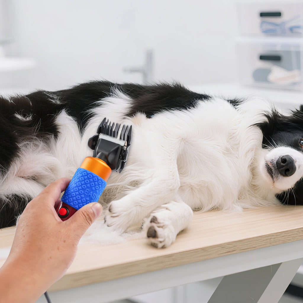 36W Professional Clipper Pet Hair Trimmer Kit