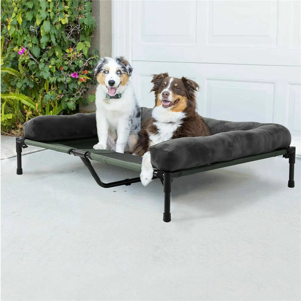 Pet Dog Cat Indoor Outdoor Elevated Lounger