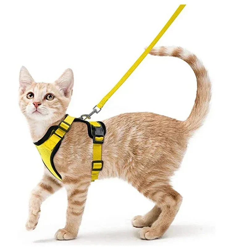 Cat Puppy Harness and Leash for Walking