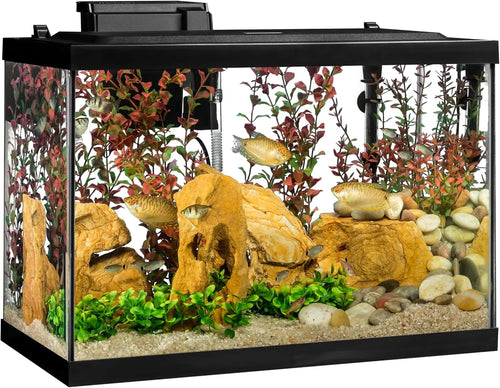 20 Gallon Complete Tropical Fish Tank Kit