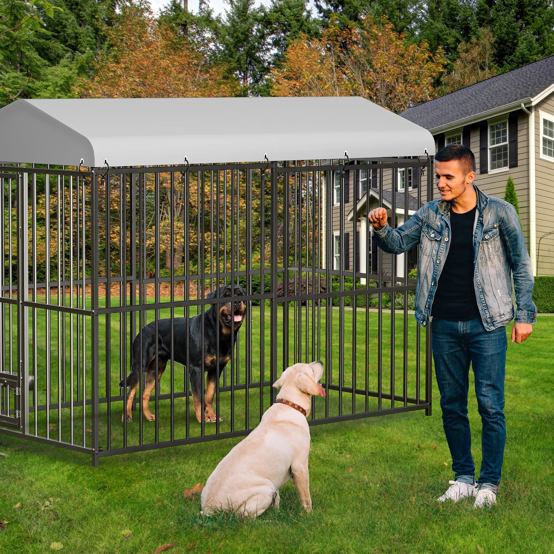 Heavy Duty Outdoor Dog Kennel with Roof