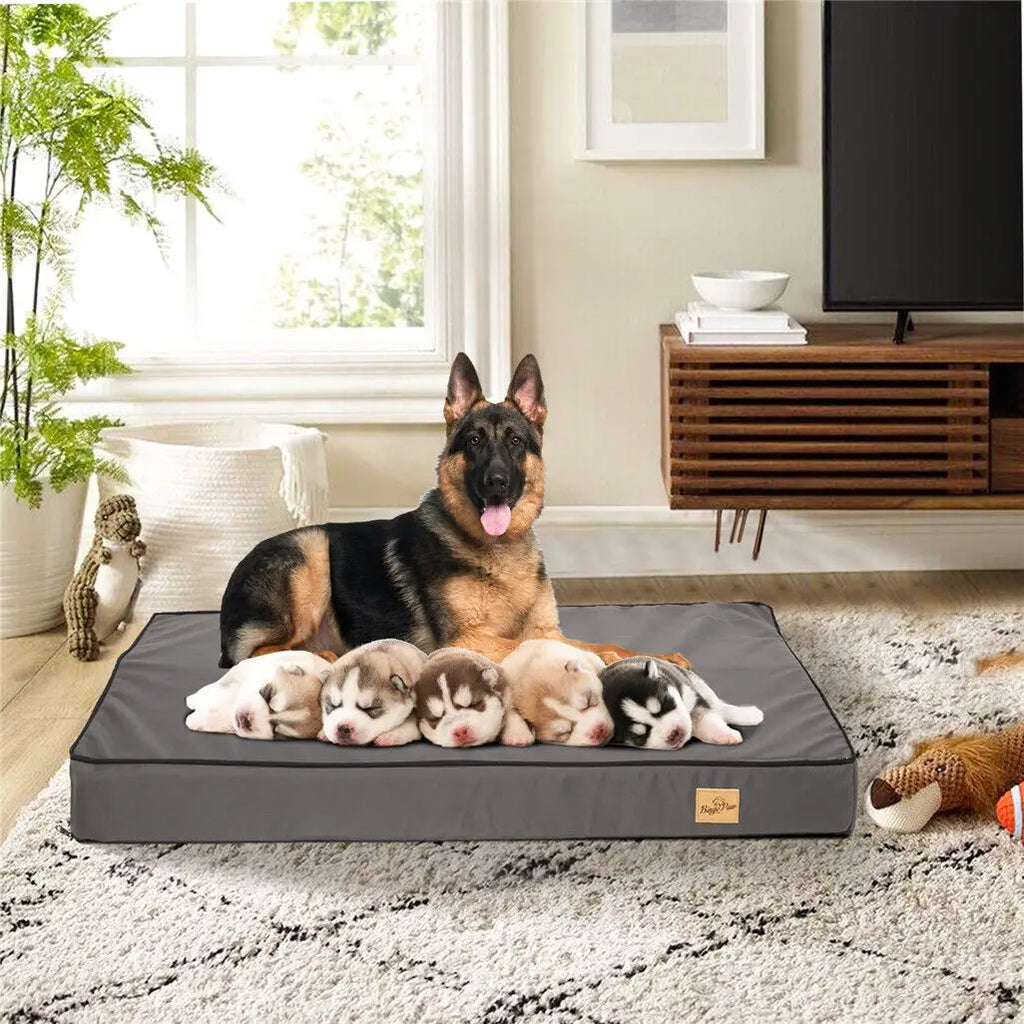 Jumbo Pet Dog Cat Orthopedic Memory Foam Bed
