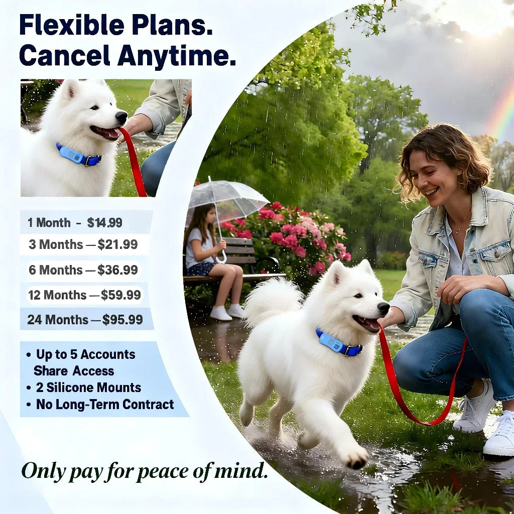 GPS Pet Tracker for Dogs Cats Built-in IoT Sim