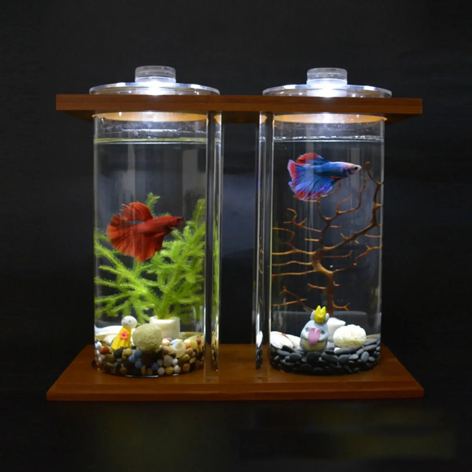 Dual Glass Betta Fish Tank with LED Light Bamboo Base