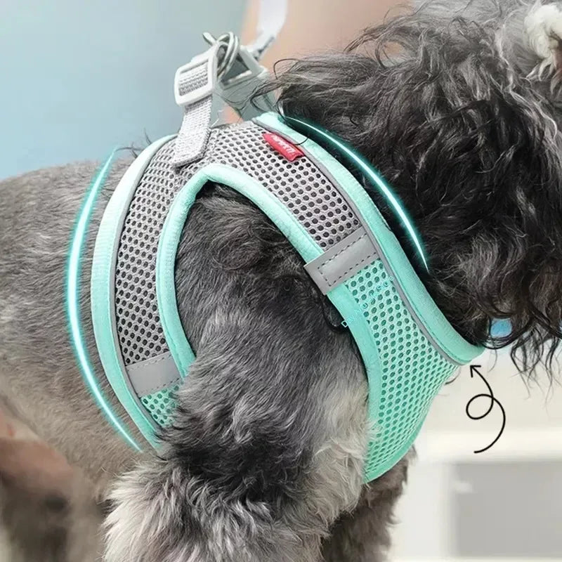 Adjustable Dog Cat Harness Vest Pet Leash