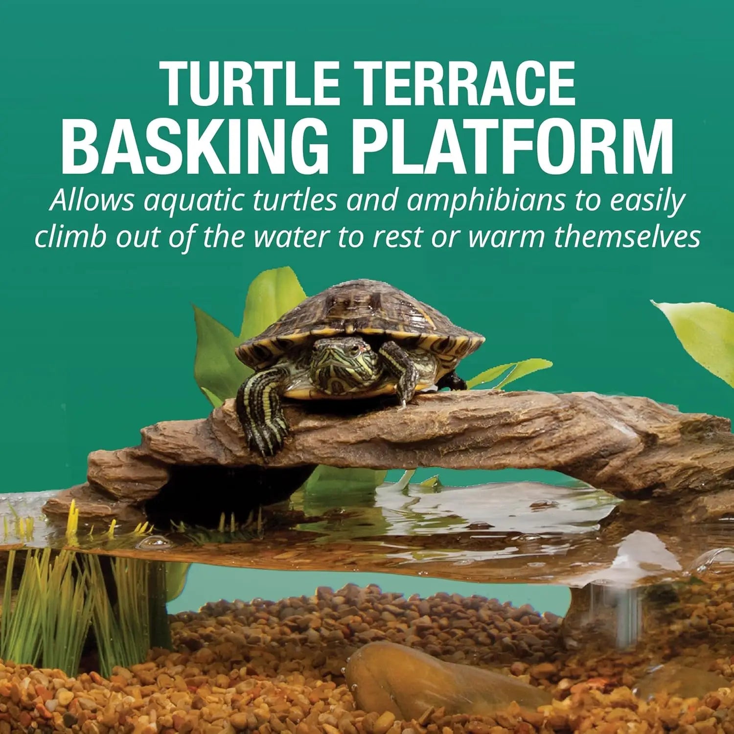 15-Gallon Aquatic Reptile & Amphibian Habitat Kit