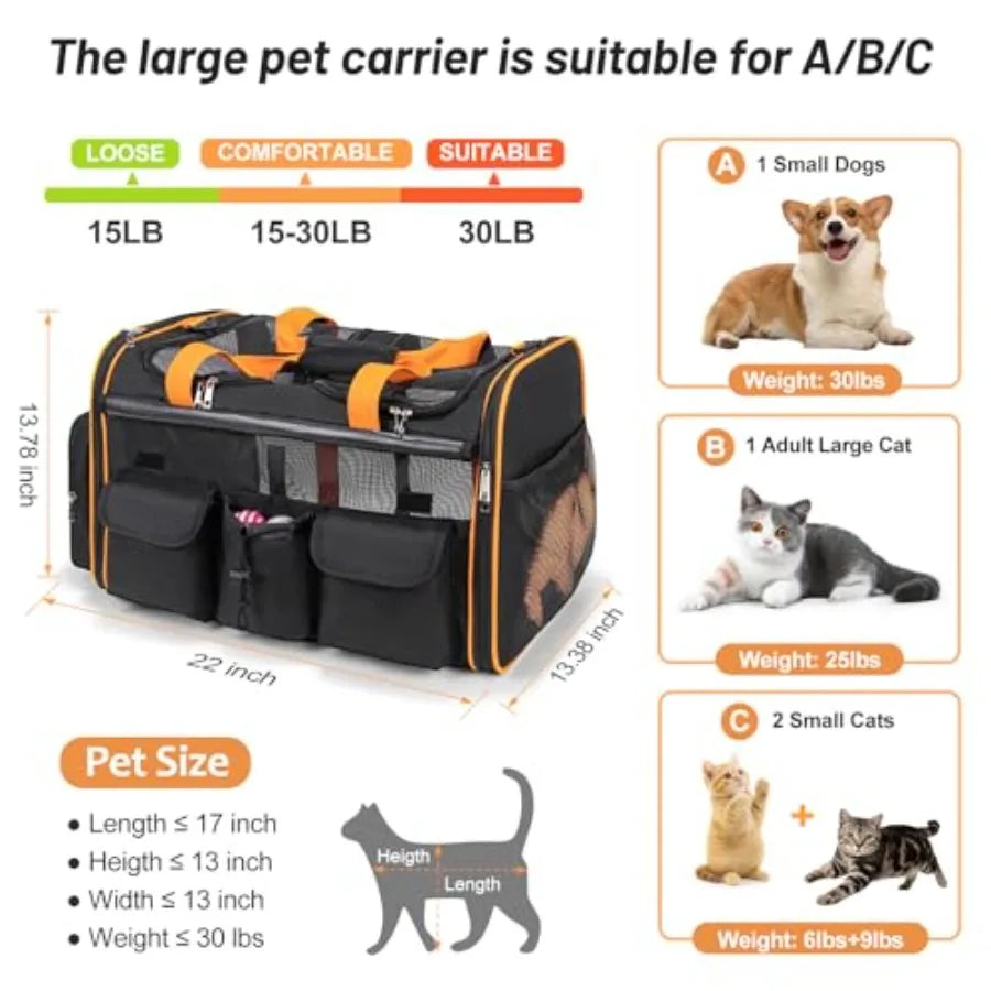 Large Dual Pet Carrier with Removable Divider
