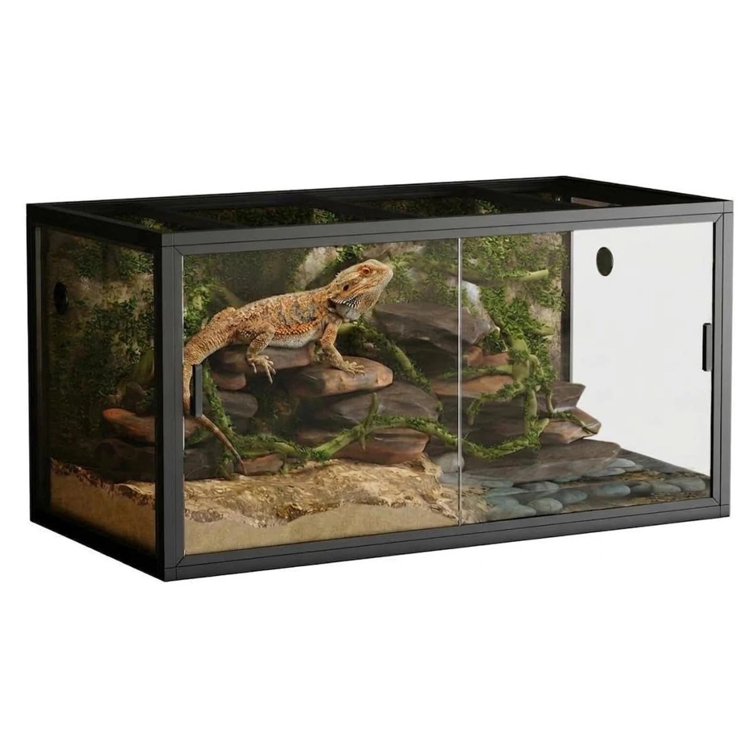 120 Gallon Large Reptile Terrarium