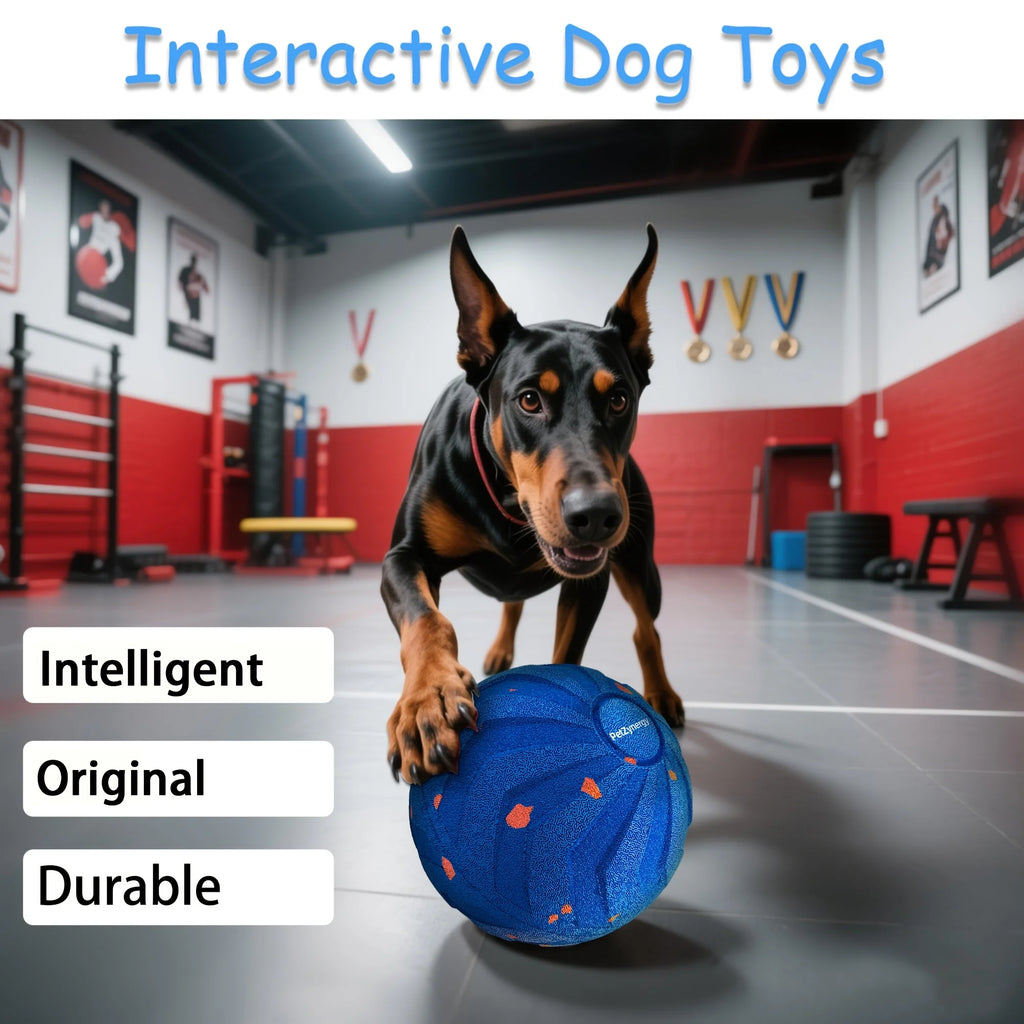Large Interactive Dog Ball With Auto-Rolling Motion