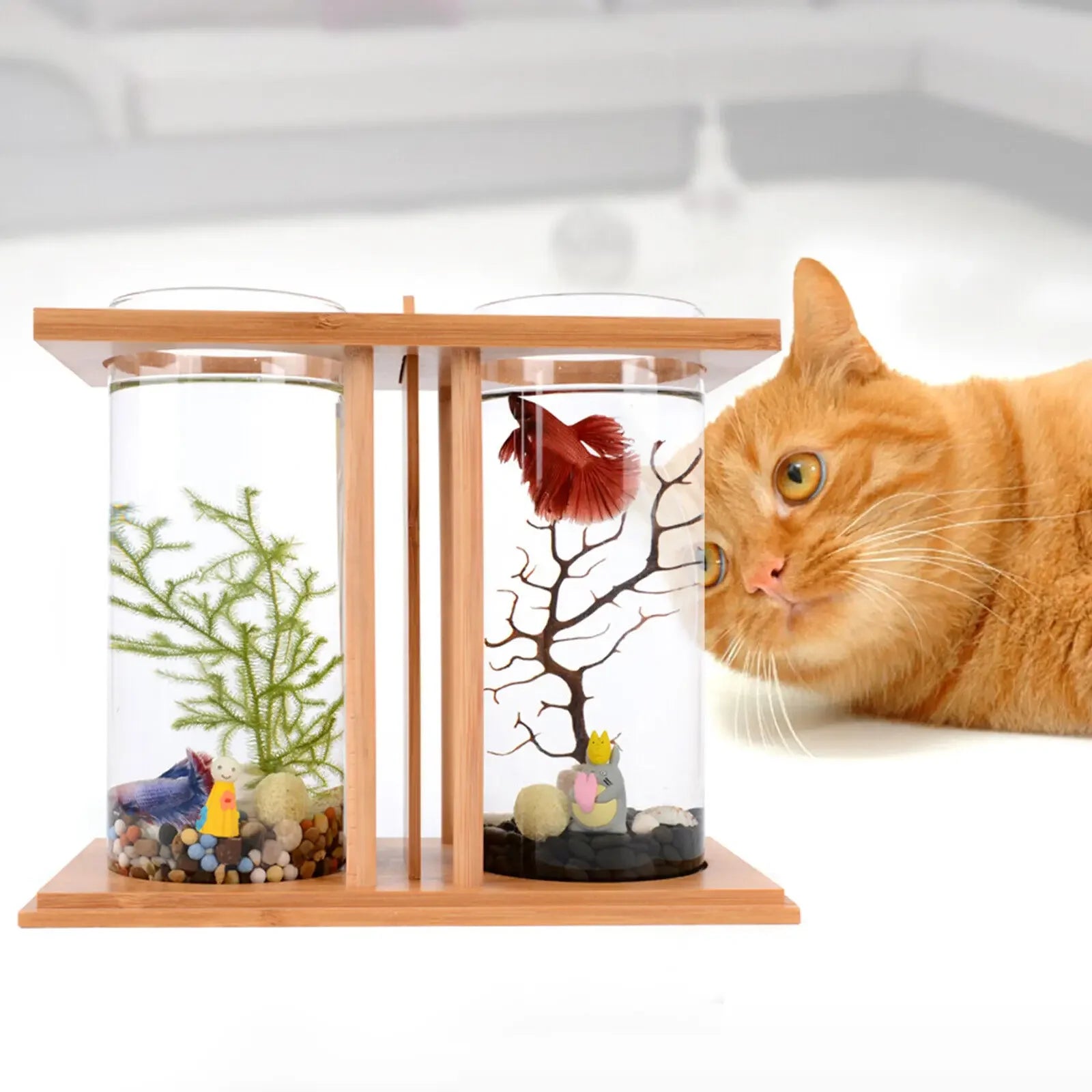 Dual Glass Betta Fish Tank with LED Light Bamboo Base