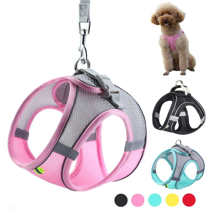 Adjustable Dog Cat Harness Vest Pet Leash