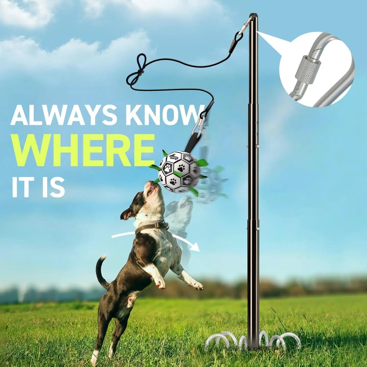 Tether Tug Outdoor Dog Toy with Adjustable Pole
