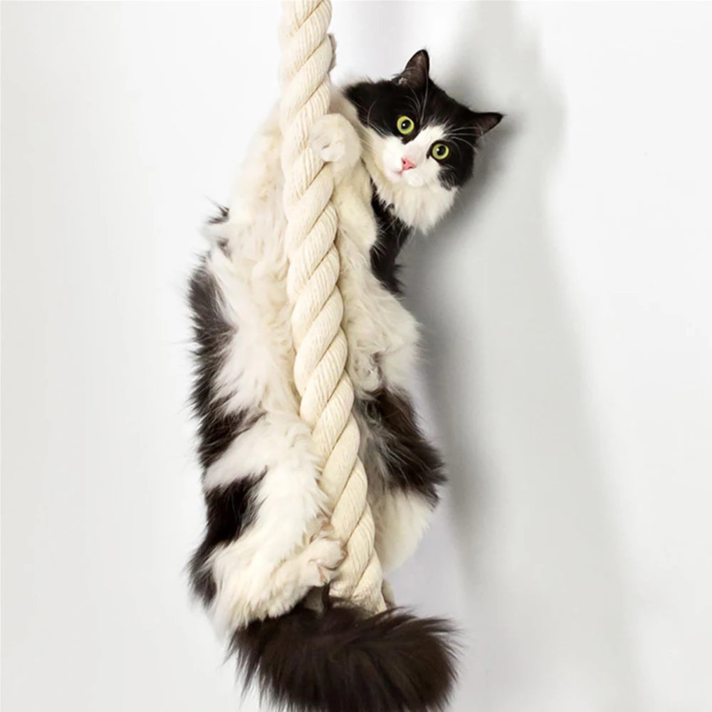 Cat Climbing Shelf and Rope Wall Mounted