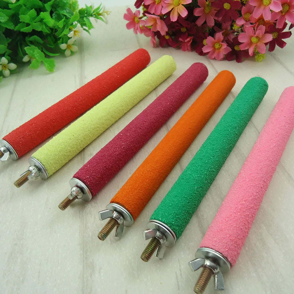 Bird Claw Beak Grinding Bar 1 piece