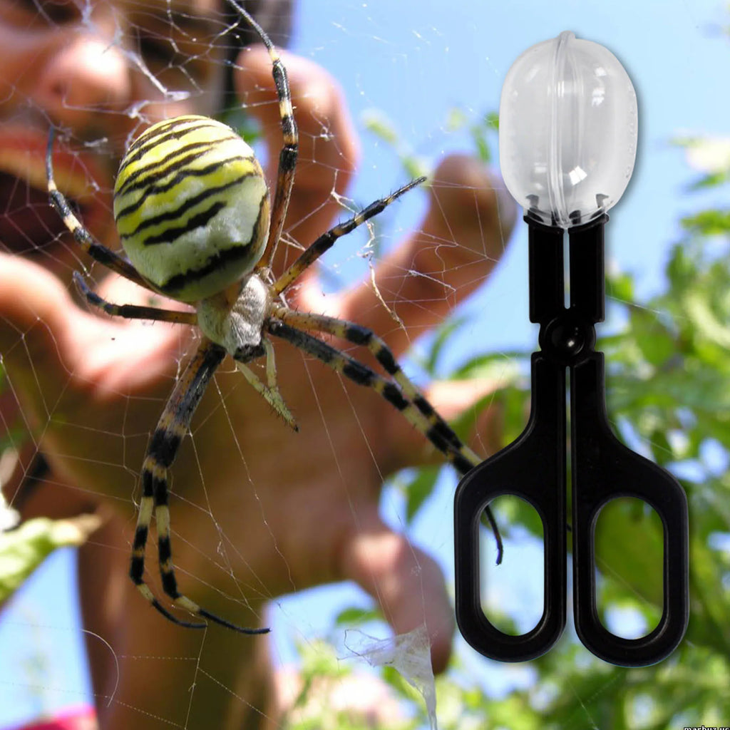 Plastic Tongs Tweezers Lizard Snake Feeding Tool