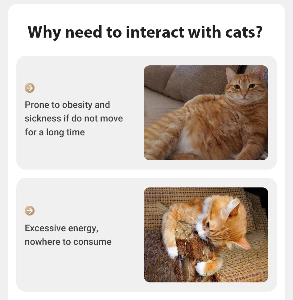 Automatic Cat Dog Laser Toy 360°