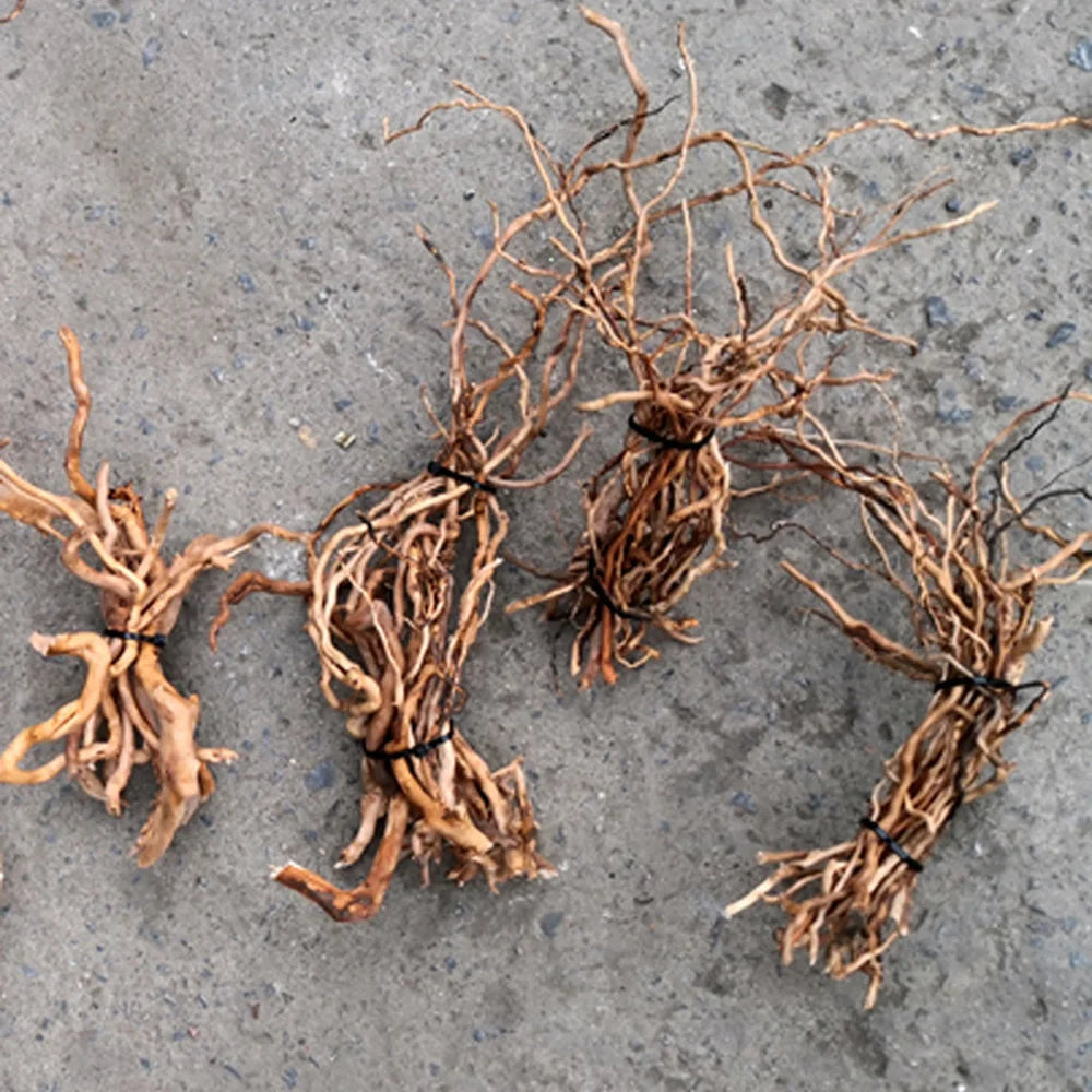 Aquarium Micro Landscape Natural Driftwood Ornaments