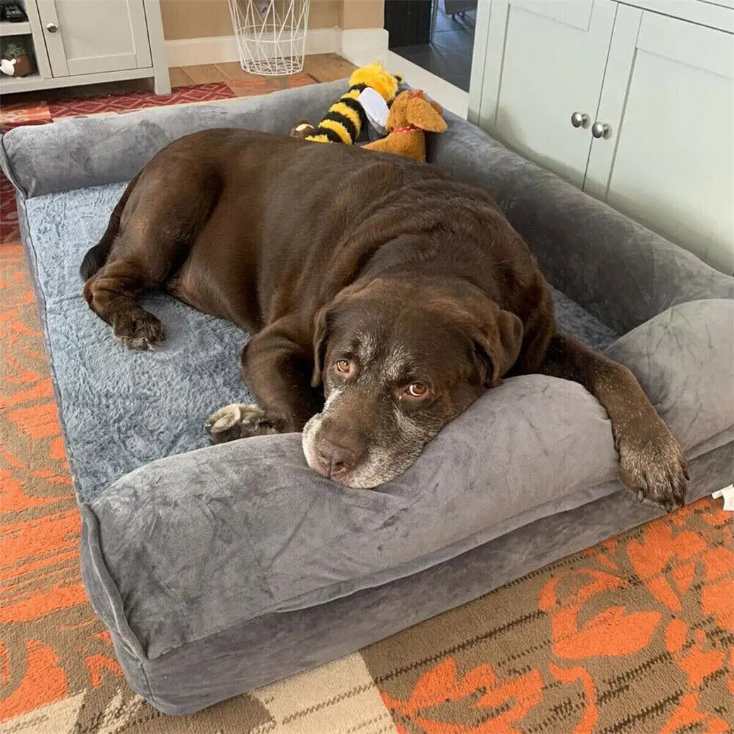 Extra Large Orthopedic Pet Dog Cat Bed