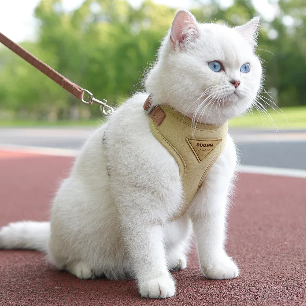 Cat Puppy Outdoor Walking Pet Harness and Leash Set