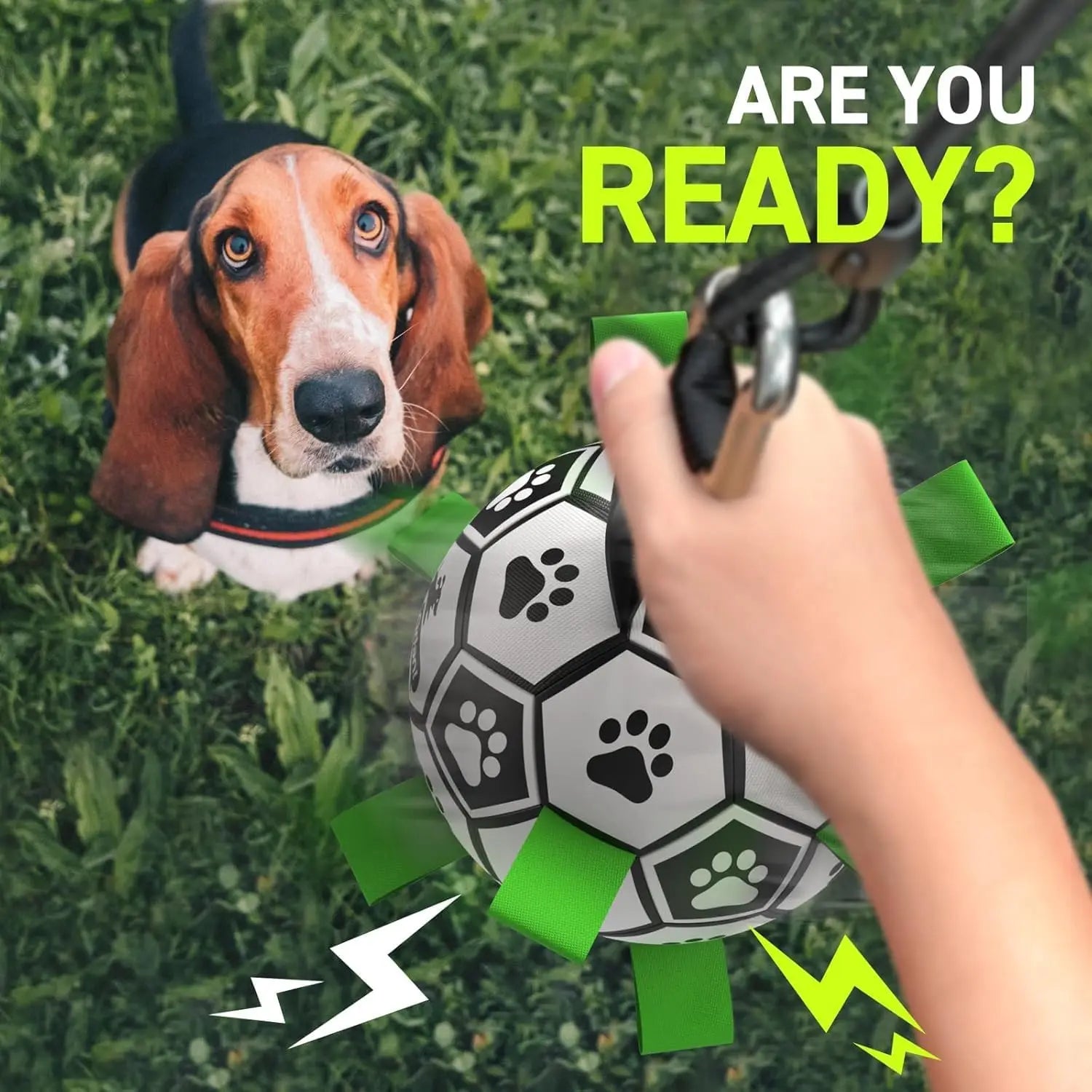 Tether Tug Outdoor Dog Toy with Adjustable Pole