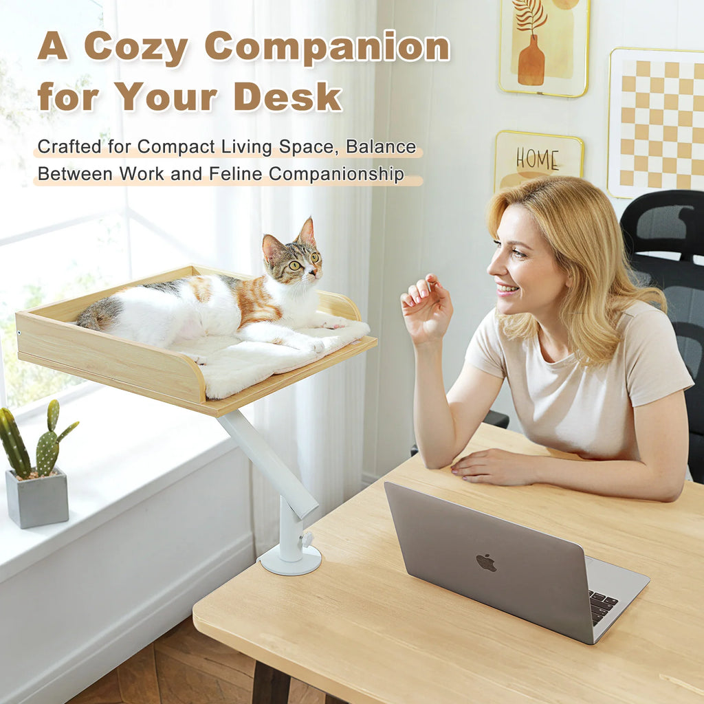 360° Rotatable Cat Bed and Stand for Desk