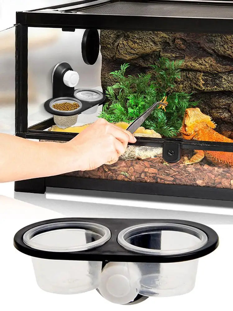 Reptile Food Water Bowl Dish