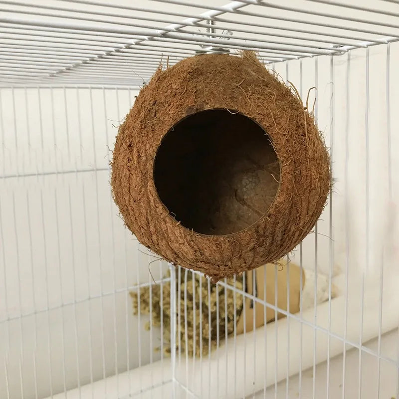Natural Coconut Hideaway for Pet Birds