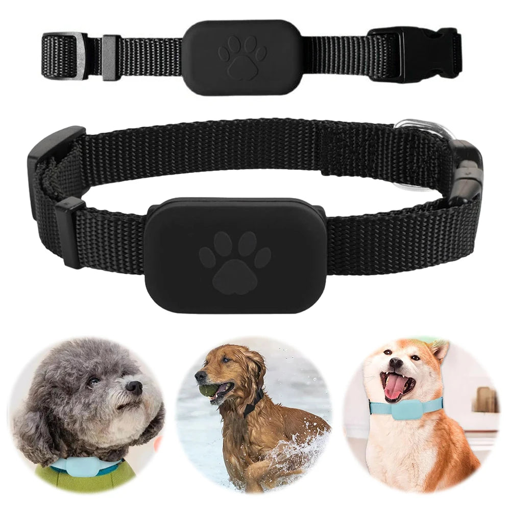 Pet Dog or Cat GPS Tracker with Adjustable Collar