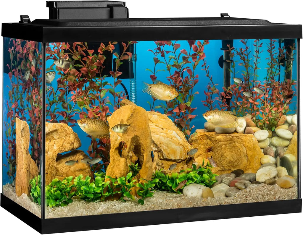 20 Gallon Complete Tropical Fish Tank Kit