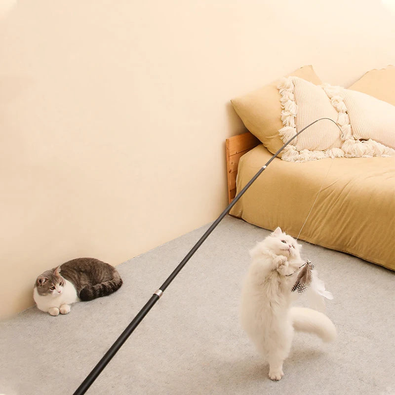 Extended Telescopic Cat Play Stick with Feathers 1.8m