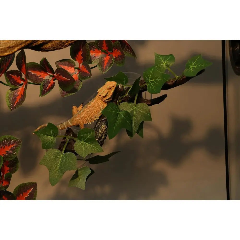Terrarium Climbing Decor for Reptiles and Amphibians with Suction Mount
