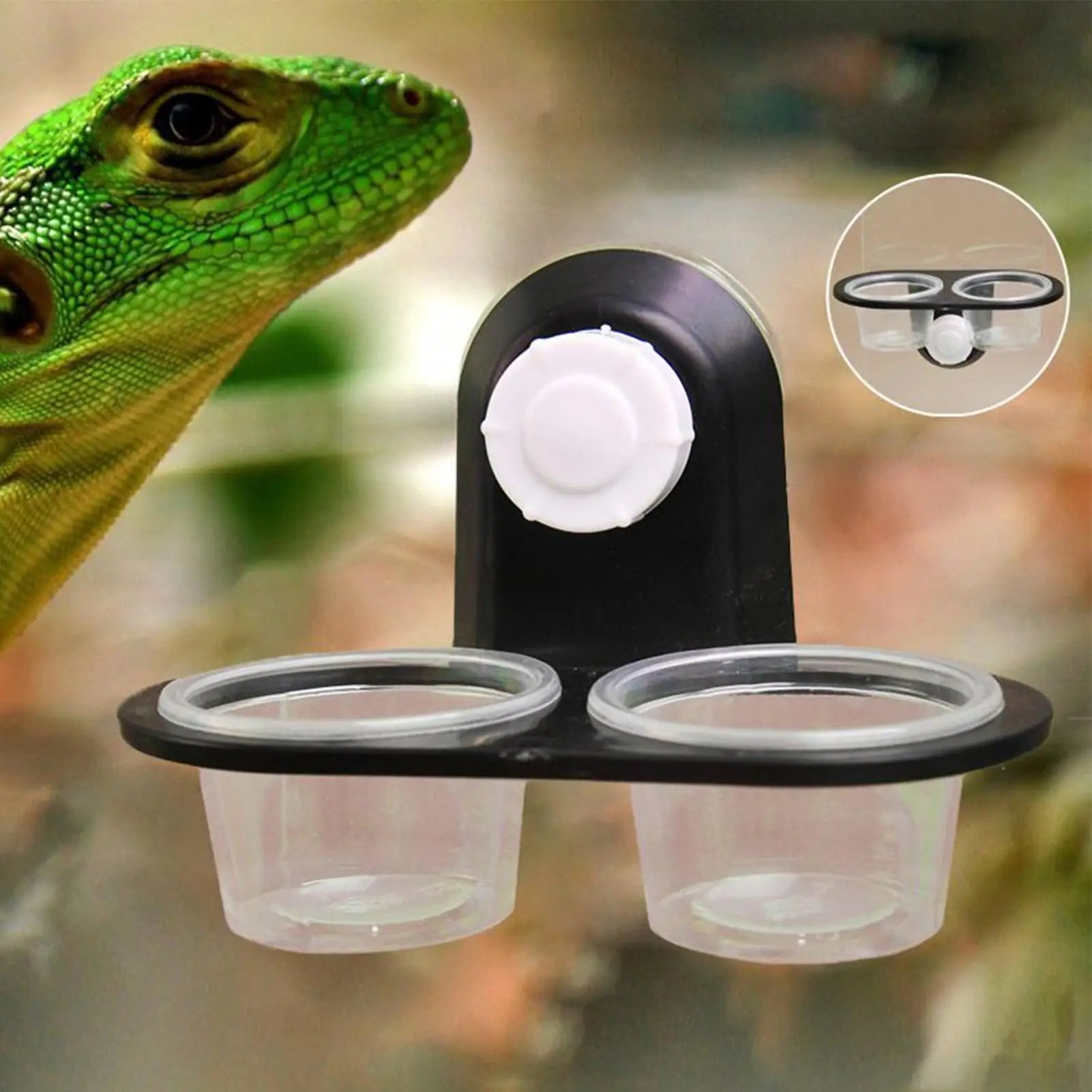 Reptile Food Water Bowl Dish
